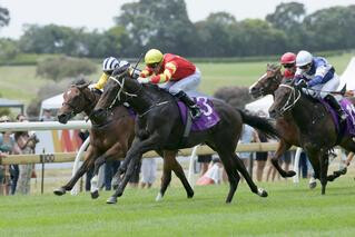 Star Treasure (NZ) winning at Ellerslie. Photo: Trish Dunell